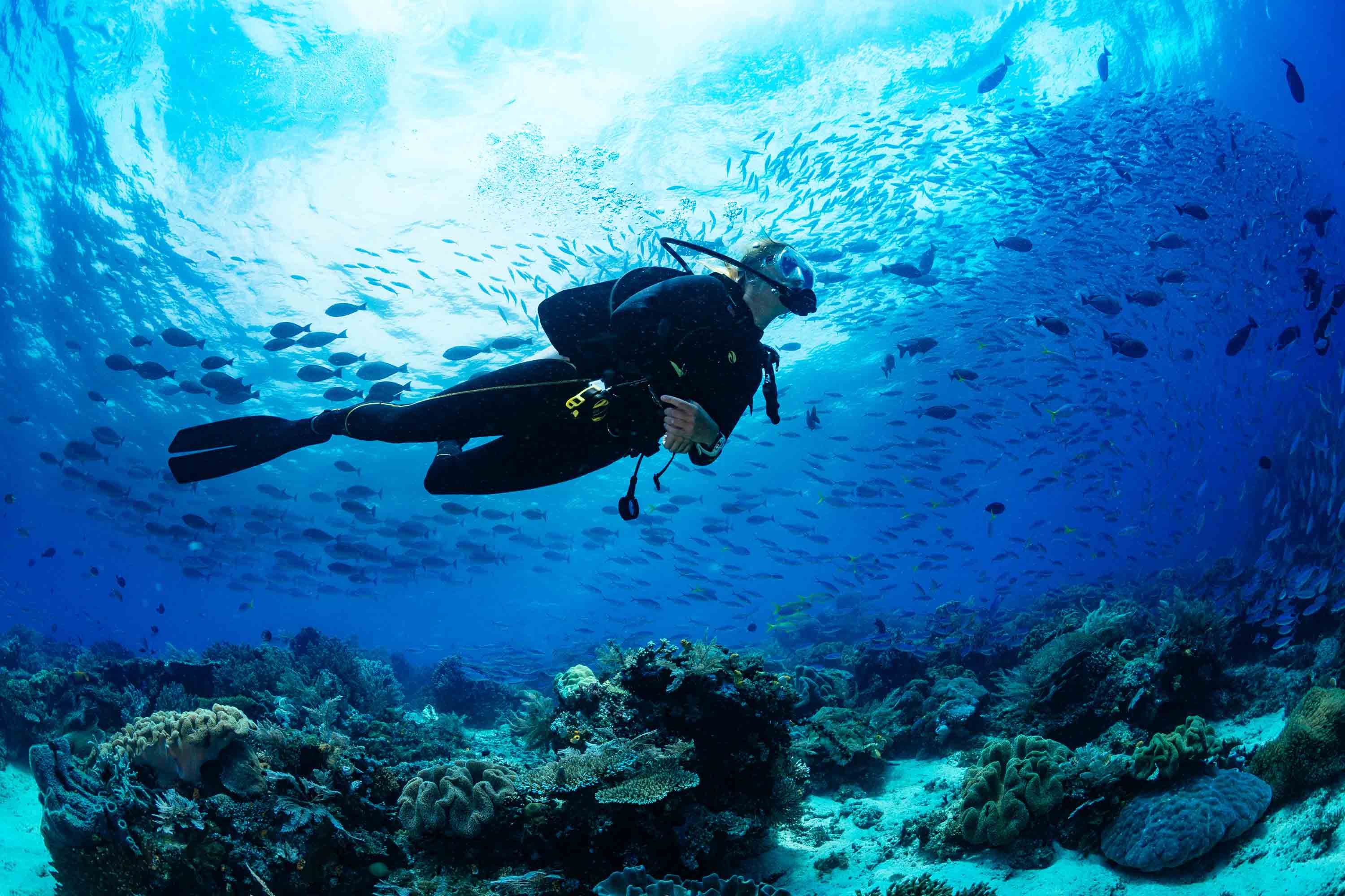 Buceo en Formentera